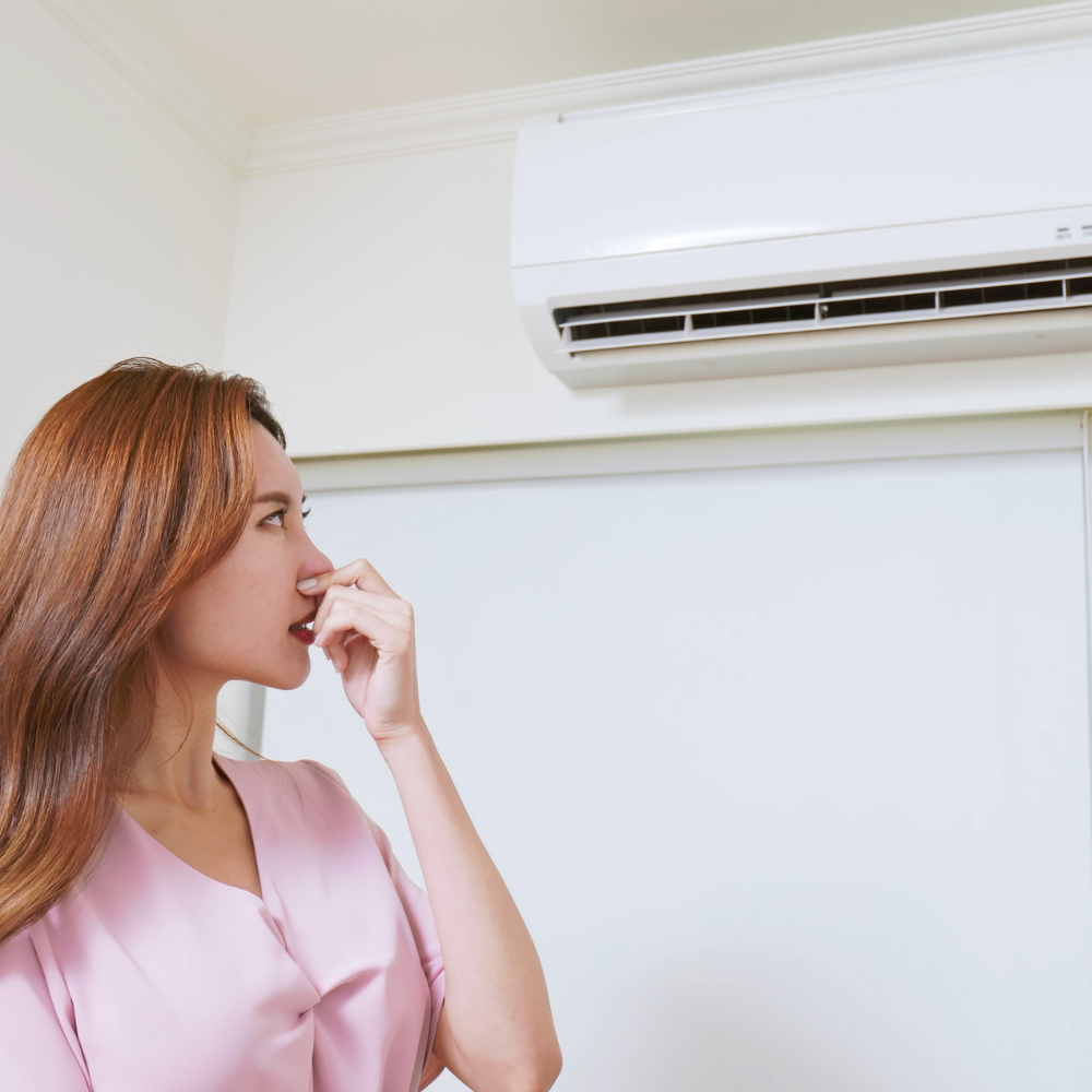 Smelly Air con image 2